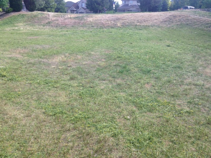 HOA MOW VACANT LOT MOW ... AFTER